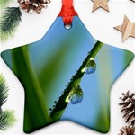 Waterdrops Star Ornament (Two Sides) Front