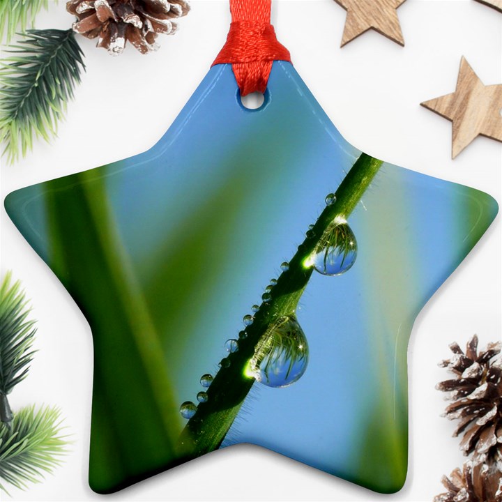 Waterdrops Star Ornament (Two Sides)