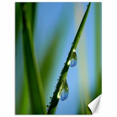 Waterdrops Canvas 12  X 16  (unframed)