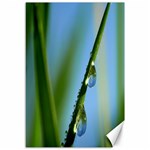 Waterdrops Canvas 12  x 18  (Unframed) 11.88 x17.36  Canvas - 1