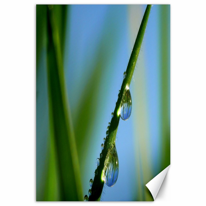 Waterdrops Canvas 12  x 18  (Unframed)