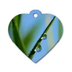 Waterdrops Dog Tag Heart (one Sided)  by Siebenhuehner