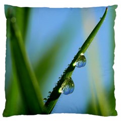 Waterdrops Large Cushion Case (two Sided) 