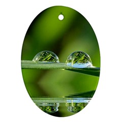 Waterdrops Oval Ornament