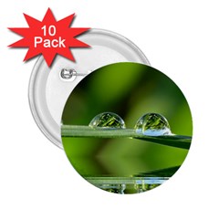 Waterdrops 2 25  Button (10 Pack) by Siebenhuehner