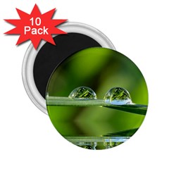 Waterdrops 2 25  Button Magnet (10 Pack) by Siebenhuehner