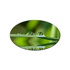 Waterdrops Sticker (oval) by Siebenhuehner