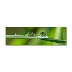 Waterdrops Bumper Sticker 10 Pack