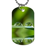 Waterdrops Dog Tag (Two-sided)  Front