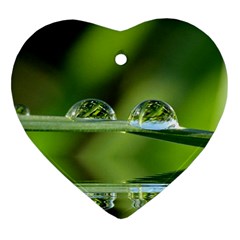 Waterdrops Heart Ornament (two Sides)