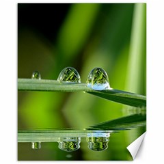 Waterdrops Canvas 16  X 20  (unframed) by Siebenhuehner