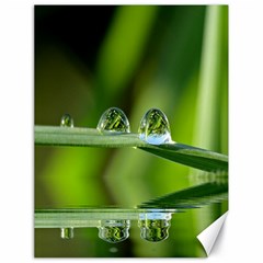 Waterdrops Canvas 18  X 24  (unframed)