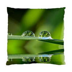 Waterdrops Cushion Case (two Sided)  by Siebenhuehner