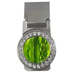 Green Bubbles  Money Clip (CZ) Front