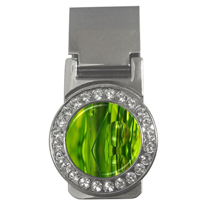 Green Bubbles  Money Clip (CZ)