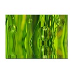 Green Bubbles  A4 Sticker 100 Pack Front