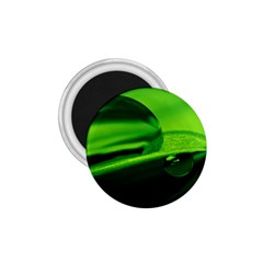 Green Drop 1 75  Button Magnet by Siebenhuehner