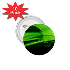 Green Drop 1 75  Button (10 Pack) by Siebenhuehner