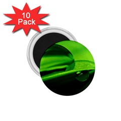 Green Drop 1 75  Button Magnet (10 Pack) by Siebenhuehner