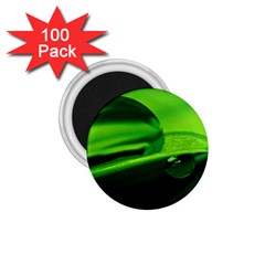 Green Drop 1 75  Button Magnet (100 Pack) by Siebenhuehner