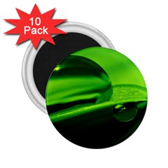 Green Drop 2 25  Button Magnet (10 Pack) by Siebenhuehner