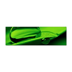 Green Drop Bumper Sticker