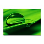 Green Drop A4 Sticker 100 Pack Front