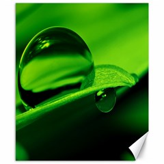 Green Drop Canvas 8  X 10  (unframed) by Siebenhuehner