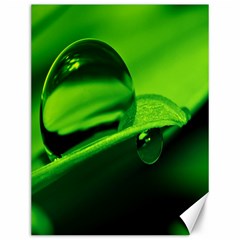 Green Drop Canvas 12  X 16  (unframed)