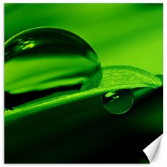 Green Drop Canvas 16  X 16  (unframed)