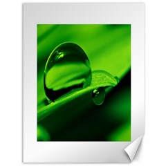 Green Drop Canvas 36  X 48  (unframed) by Siebenhuehner