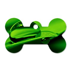 Green Drop Dog Tag Bone (two Sided)