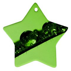 Green Drops Star Ornament by Siebenhuehner