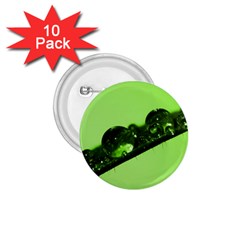 Green Drops 1 75  Button (10 Pack)