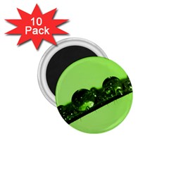 Green Drops 1 75  Button Magnet (10 Pack) by Siebenhuehner