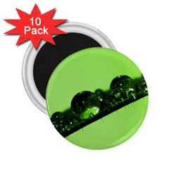 Green Drops 2 25  Button Magnet (10 Pack) by Siebenhuehner