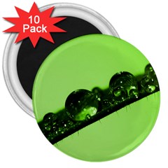 Green Drops 3  Button Magnet (10 Pack)