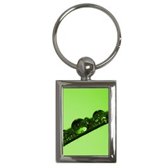 Green Drops Key Chain (rectangle) by Siebenhuehner