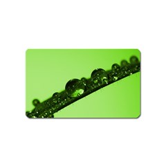 Green Drops Magnet (name Card) by Siebenhuehner