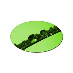 Green Drops Sticker 10 Pack (oval) by Siebenhuehner