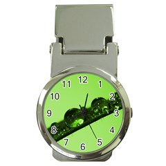 Green Drops Money Clip With Watch