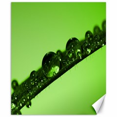 Green Drops Canvas 8  X 10  (unframed)