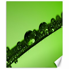 Green Drops Canvas 20  X 24  (unframed) by Siebenhuehner