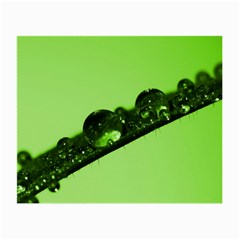 Green Drops Glasses Cloth (small, Two Sided) by Siebenhuehner