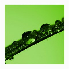 Green Drops Glasses Cloth (medium, Two Sided)