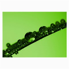 Green Drops Glasses Cloth (large, Two Sided) by Siebenhuehner