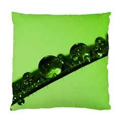 Green Drops Cushion Case (two Sided)  by Siebenhuehner