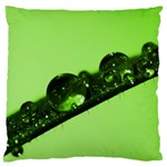 Green Drops Large Cushion Case (Single Sided)  Front