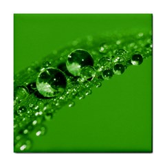 Green Drops Ceramic Tile by Siebenhuehner