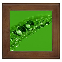 Green Drops Framed Ceramic Tile